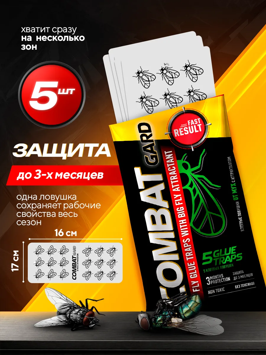 Миниатюра 6